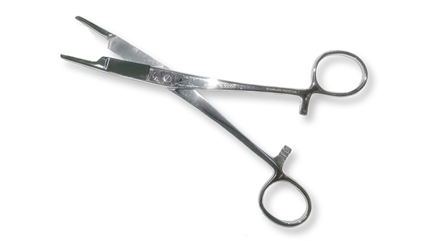 Picture of 6" CRAFT FORCEPS WITH SCISSORS